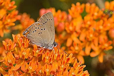 气场强大 最新统计《宇宙机器人》2024年获年度游戏104次