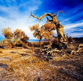 《Ghost Bros》开启众筹 拟真场景合作恐怖探索